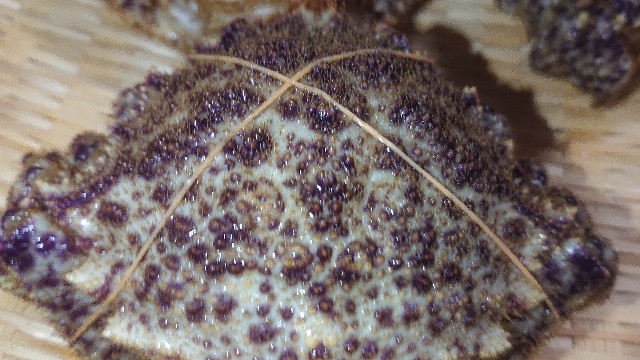 f:id:chippy55:20210517125707j:image f:id:chippy55:20210517125707j:image