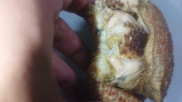 f:id:chippy55:20210517130646j:image f:id:chippy55:20210517130646j:image