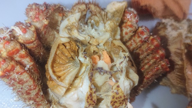 f:id:chippy55:20210517132117j:image f:id:chippy55:20210517132117j:image