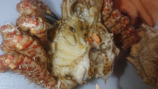 f:id:chippy55:20210517132138j:image f:id:chippy55:20210517132138j:image