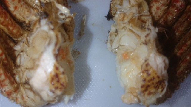 f:id:chippy55:20210517132300j:image f:id:chippy55:20210517132300j:image