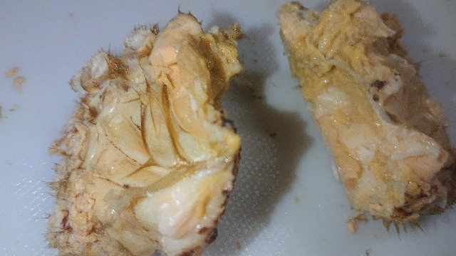 f:id:chippy55:20210517132618j:image f:id:chippy55:20210517132618j:image