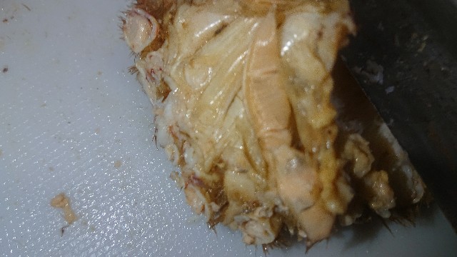 f:id:chippy55:20210517132638j:image f:id:chippy55:20210517132638j:image