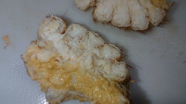 f:id:chippy55:20210517132703j:image f:id:chippy55:20210517132703j:image