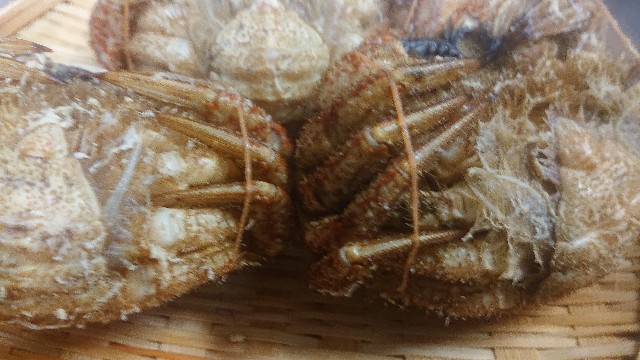 f:id:chippy55:20210518100800j:image f:id:chippy55:20210518100800j:image