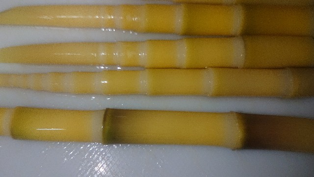 f:id:chippy55:20210527152143j:image