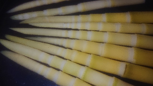 f:id:chippy55:20210527200934j:image