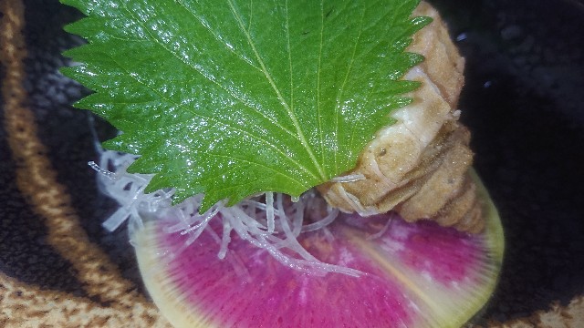 f:id:chippy55:20210602011813j:image f:id:chippy55:20210602011813j:image