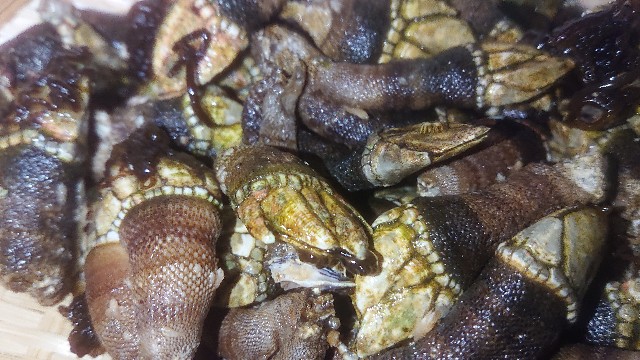 f:id:chippy55:20210615052037j:image f:id:chippy55:20210615052037j:image