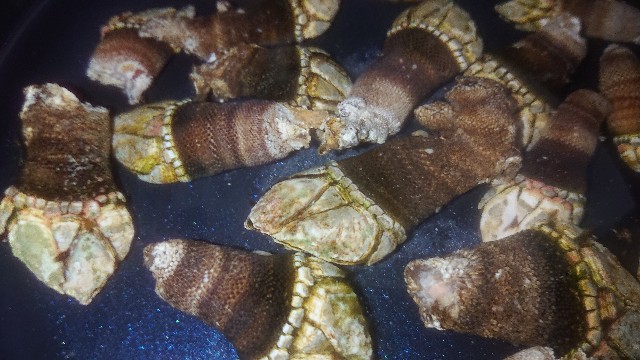 f:id:chippy55:20210616180058j:image f:id:chippy55:20210616180058j:image