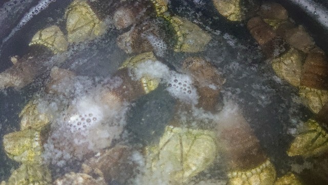 f:id:chippy55:20210616180224j:image f:id:chippy55:20210616180224j:image