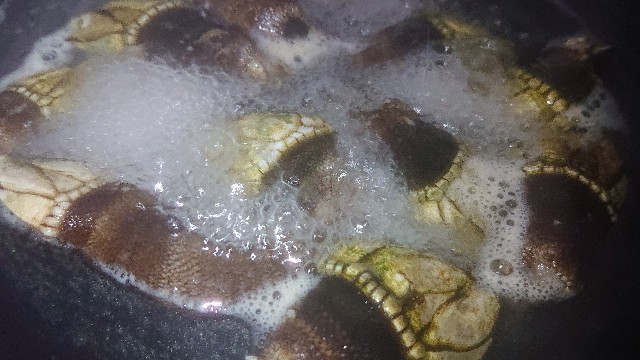 f:id:chippy55:20210616181656j:image f:id:chippy55:20210616181656j:image