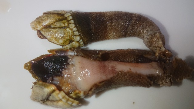 f:id:chippy55:20210616182720j:image f:id:chippy55:20210616182720j:image