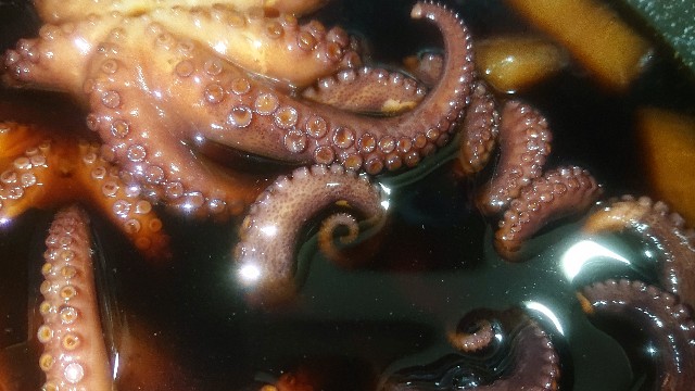 板前レシピ タコ タコの煮物 作り方 ちっぴぃクッキング