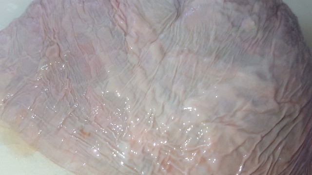 f:id:chippy55:20210620102946j:image