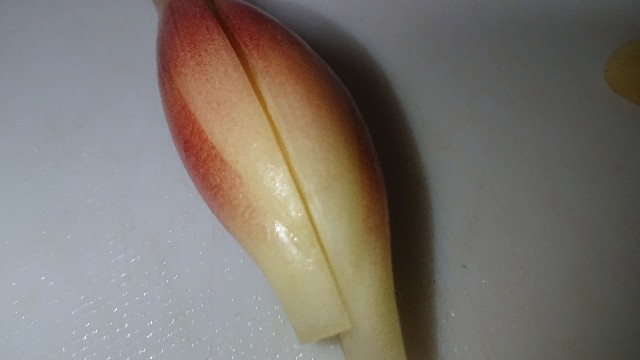 f:id:chippy55:20210701204541j:image