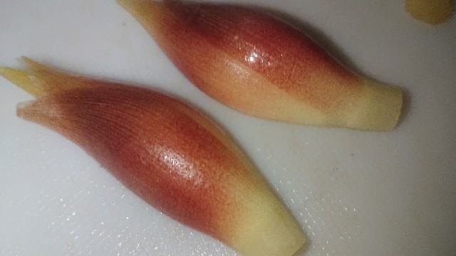 f:id:chippy55:20210701204618j:image