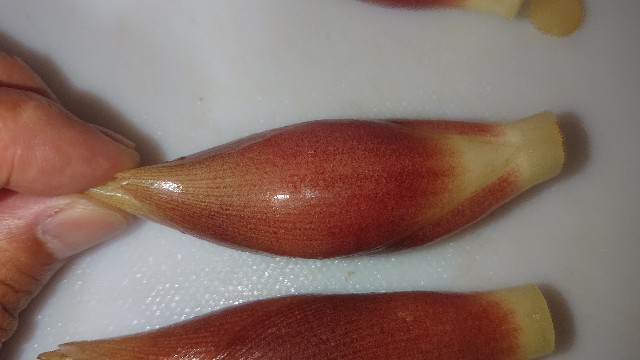 f:id:chippy55:20210701210120j:image