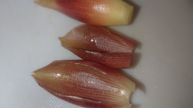 f:id:chippy55:20210701210225j:image