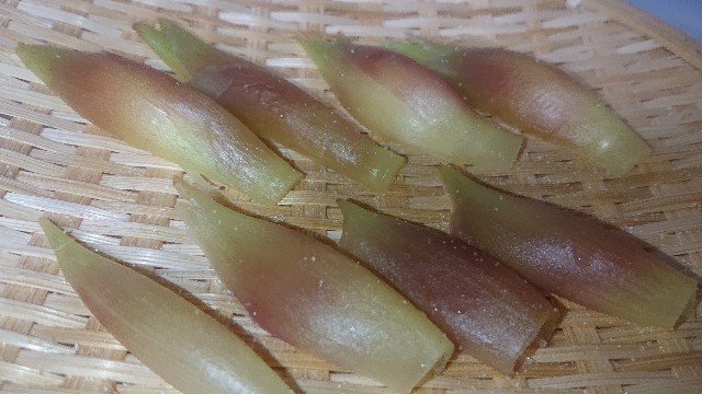 f:id:chippy55:20210701211445j:image