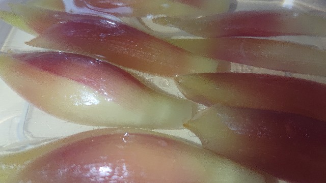 f:id:chippy55:20210702211359j:image