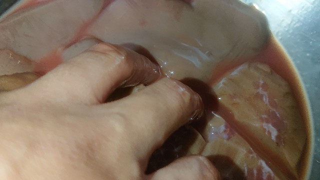 f:id:chippy55:20210710113032j:image