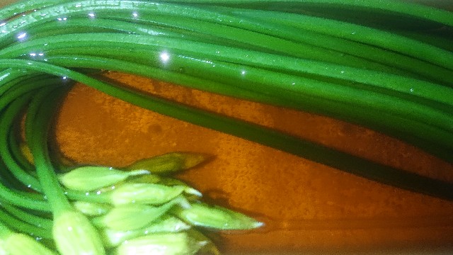 板前レシピ ハナニラ おひたし 作り方 ちっぴぃクッキング