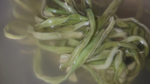 f:id:chippy55:20210809055429j:image f:id:chippy55:20210809055429j:image