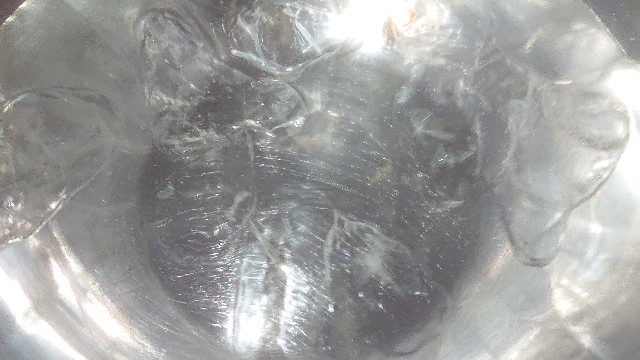 f:id:chippy55:20210824131828j:image
