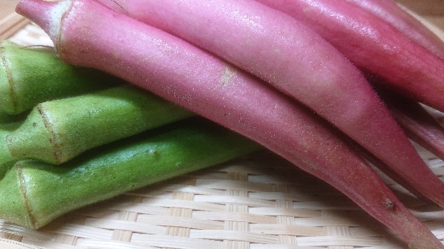 板前レシピ 島オクラ シマオクラ 食べ方 ちっぴぃクッキング