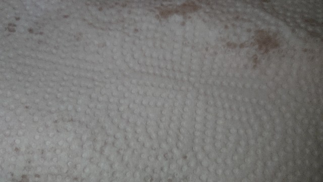 f:id:chippy55:20210915152743j:image f:id:chippy55:20210915152743j:image