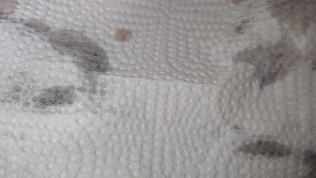 f:id:chippy55:20210915152853j:image f:id:chippy55:20210915152853j:image