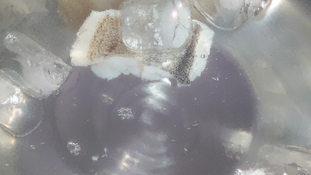 f:id:chippy55:20210915153053j:image f:id:chippy55:20210915153053j:image