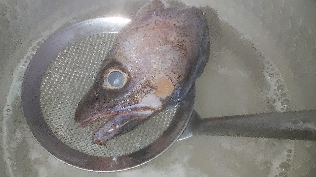 f:id:chippy55:20210915153121j:image f:id:chippy55:20210915153121j:image