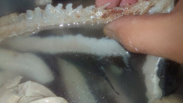 f:id:chippy55:20210915153230j:image f:id:chippy55:20210915153230j:image