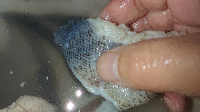 f:id:chippy55:20210915153309j:image f:id:chippy55:20210915153309j:image