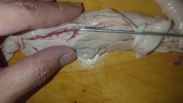 f:id:chippy55:20210915153450j:image f:id:chippy55:20210915153450j:image