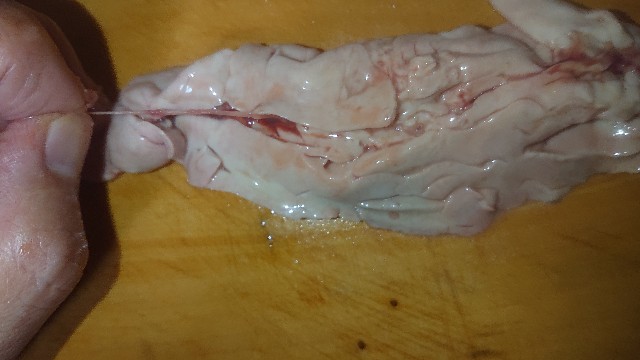 f:id:chippy55:20210915153541j:image f:id:chippy55:20210915153541j:image