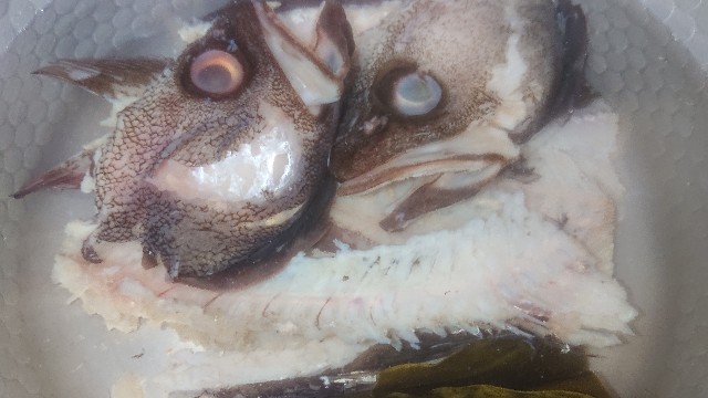 f:id:chippy55:20210915155954j:image f:id:chippy55:20210915155954j:image