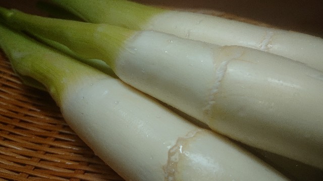 f:id:chippy55:20210922061724j:image f:id:chippy55:20210922061724j:image