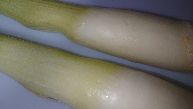 f:id:chippy55:20210922062233j:image f:id:chippy55:20210922062233j:image