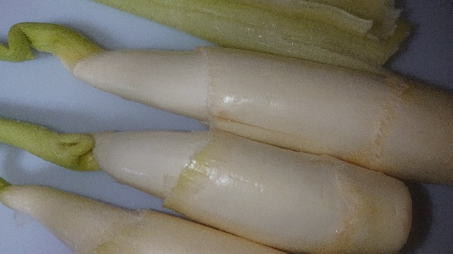 f:id:chippy55:20210922062345j:image f:id:chippy55:20210922062345j:image