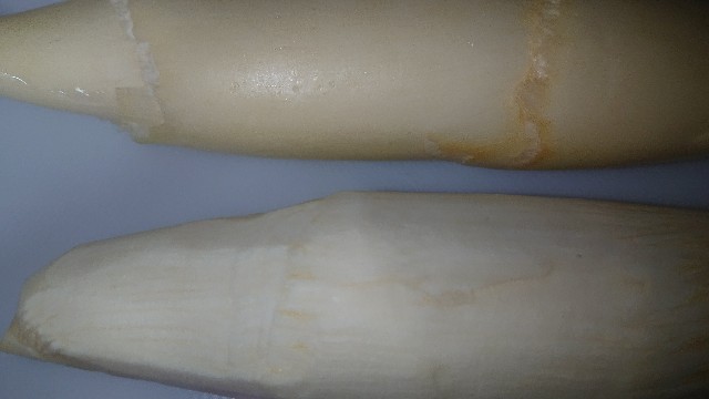 f:id:chippy55:20210922062843j:image f:id:chippy55:20210922062843j:image