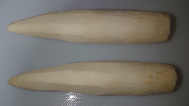 f:id:chippy55:20210926011203j:image f:id:chippy55:20210926011203j:image