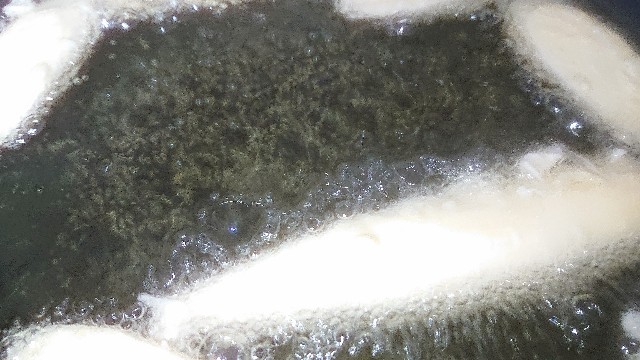 f:id:chippy55:20210926012503j:image f:id:chippy55:20210926012503j:image