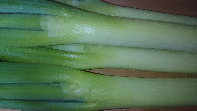 f:id:chippy55:20211004175742j:image