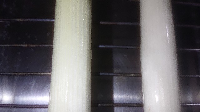 f:id:chippy55:20211004181436j:image