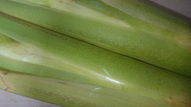 f:id:chippy55:20211006054016j:image