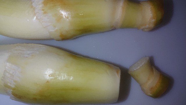 f:id:chippy55:20211006054149j:image