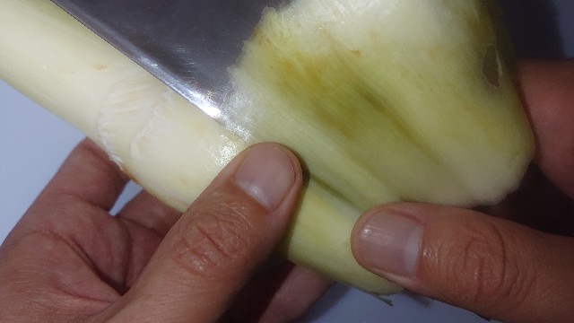 f:id:chippy55:20211006054240j:image